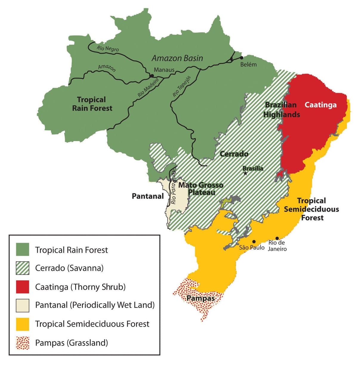 Landkarte von Brasilien vegetation
