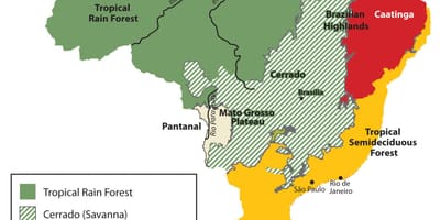 Landkarte von Brasilien vegetation