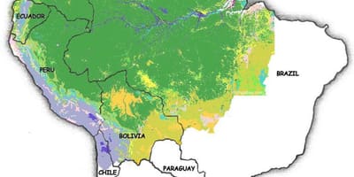 Landkarte von Brasilien Wälder