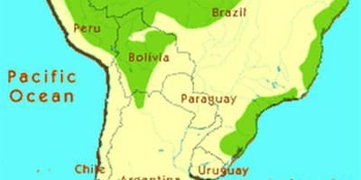 Regenwald in Brasilien anzeigen